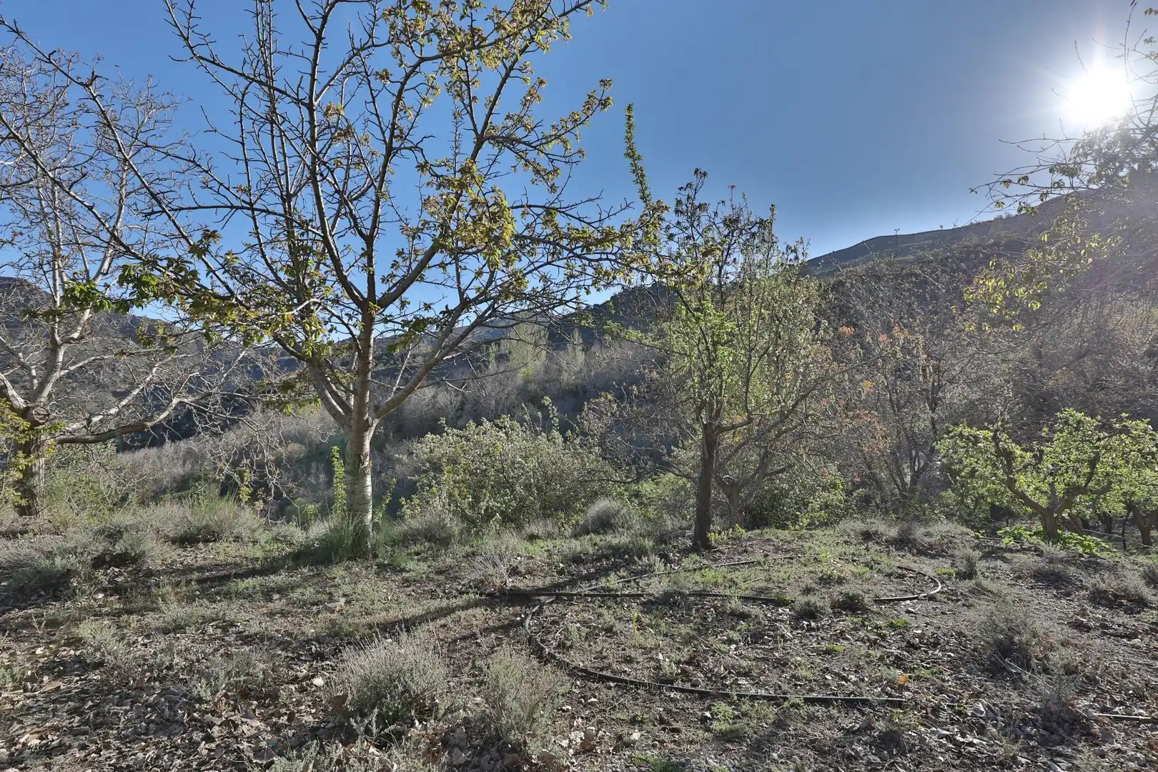 Casa rústica en venda a Dúrcal, imagen 35