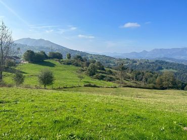 Terrenys i solars en venda a Parres