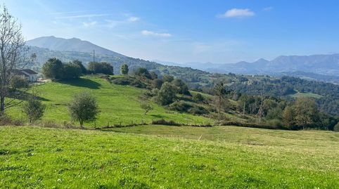 VENTA DE FINCA EDIFICABLE CERCA DE CANGAS DE ONIS