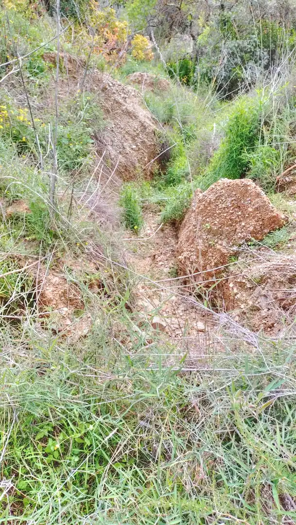 Terreni e lotti in vendita a Comares, imagen 15