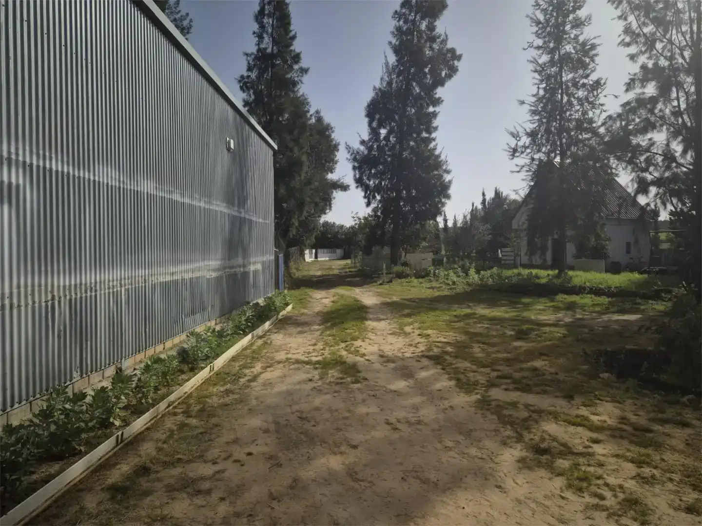 Finca rústica en venda en Carrión de los Céspedes