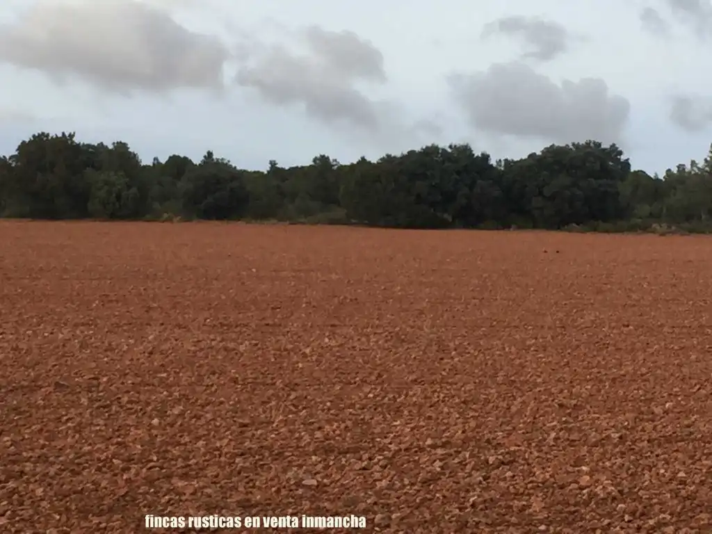 Terreni e lotti in vendita a Munera, imagen 6