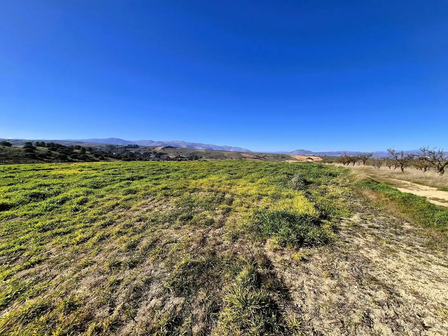 Rural land for sale in Alhama de Granada, imagen 2