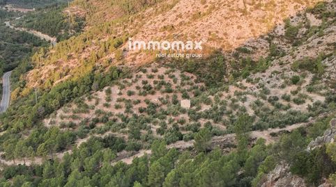 Finca rústica con caseta de 66 m2 y 18302 m² de terreno. Hay muy buen acceso hasta la finca a unos 7 minutos de Paüls y 7 minutos , imatge 2