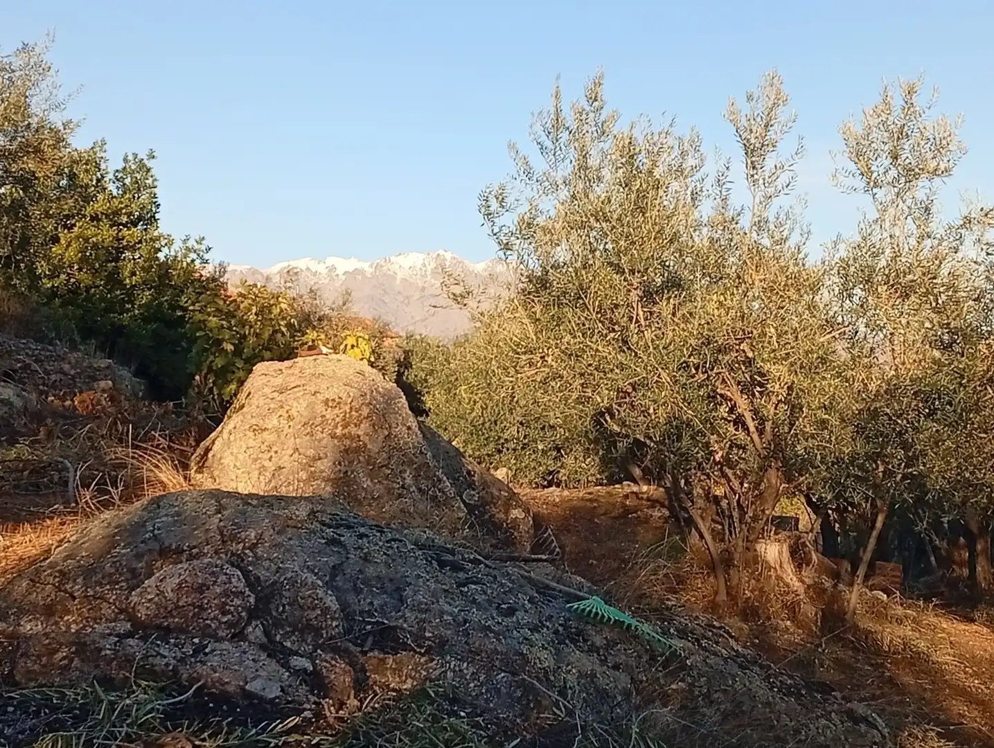 Terreni e lotti in vendita a Villanueva de la Vera, imagen 53