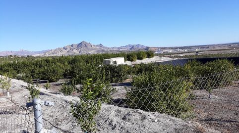 Solvia Inmobiliaria  Terreno con edificación Abanilla, immagine 5