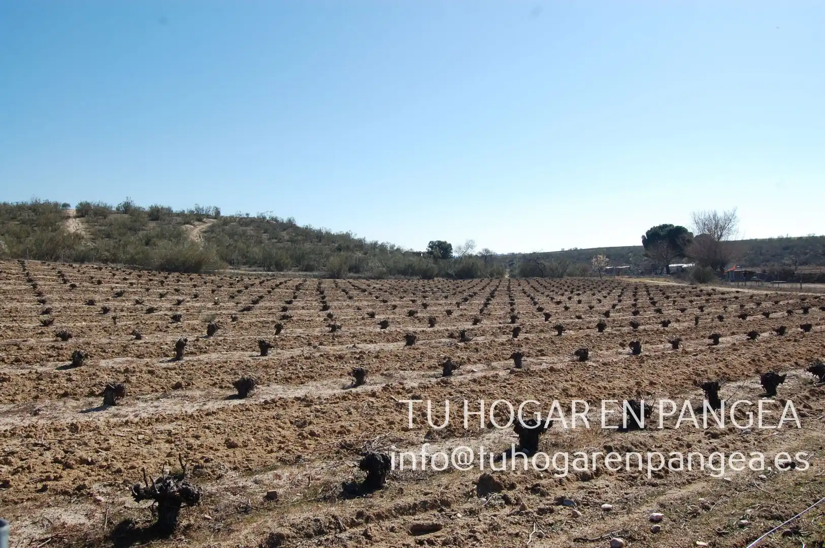 Rural land for sale in El Álamo, imagen 18