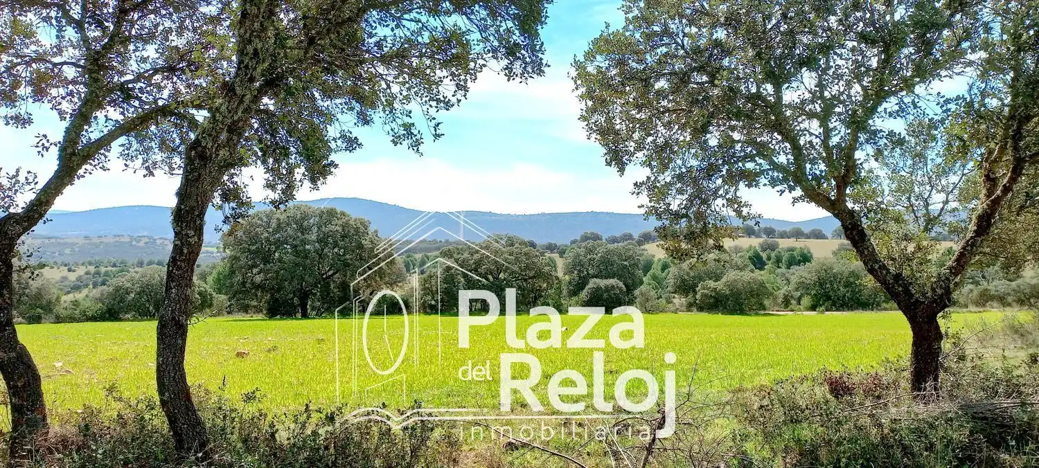 Terreno rustico in vendita a CERVANTES 0, imagen 22