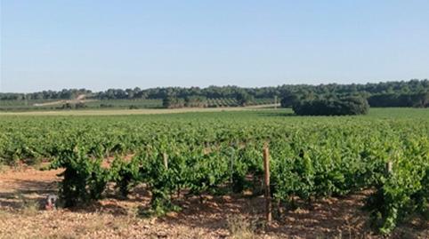 Foto 5 von Residential zum Verkauf in Calle Polígono 1 Parcela 39 Hondo del Rio. Montalv, 39, Montalvos, Albacete