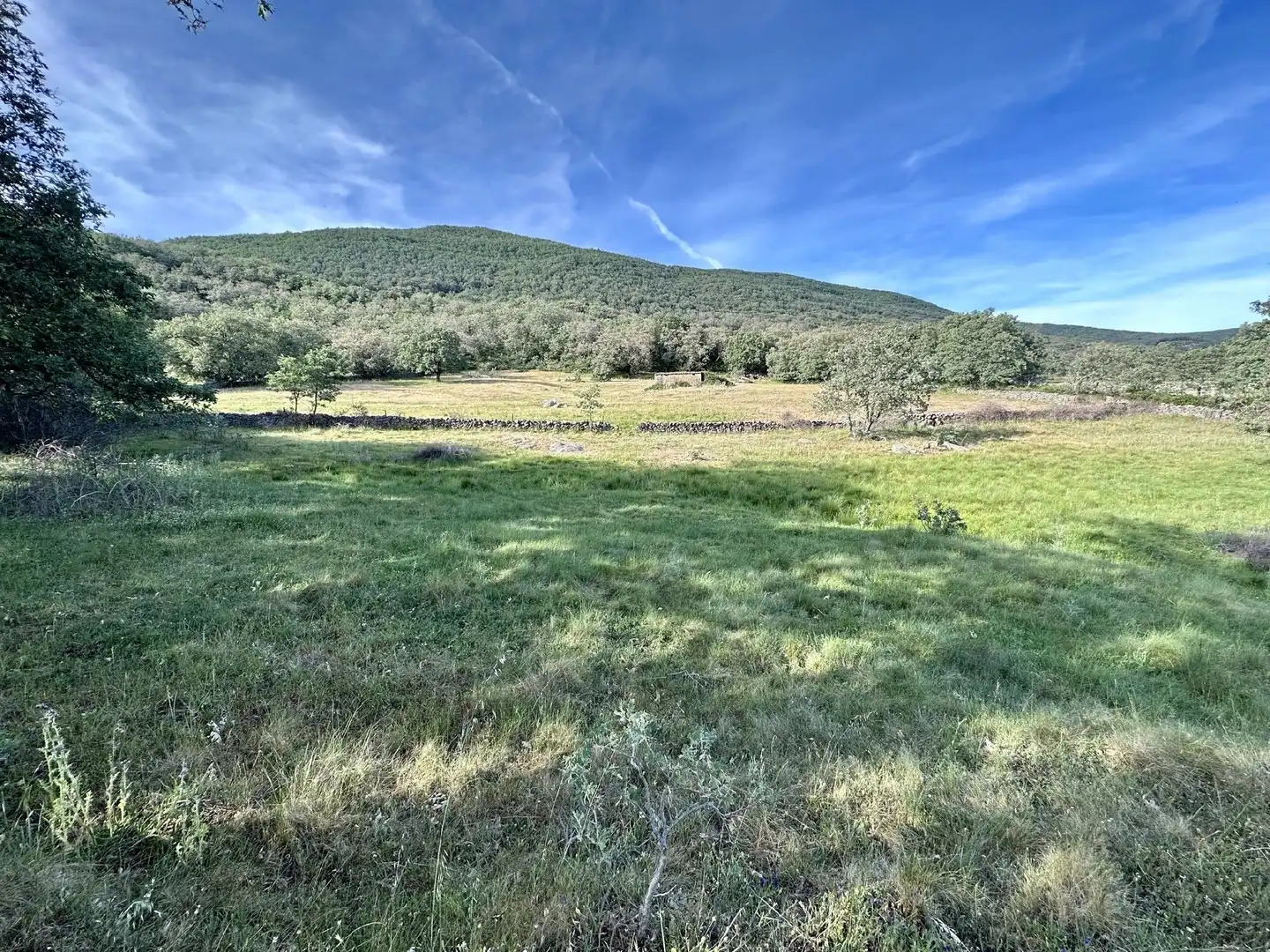 Terreni e lotti in vendita a Malpartida de Plasencia, imagen 12
