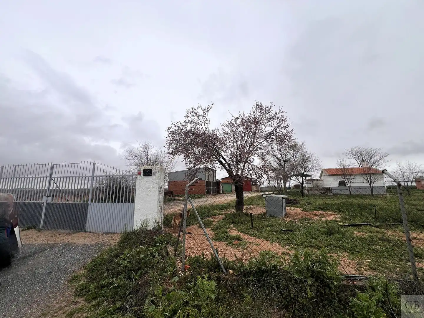 Terrenys i solars en venda a Consuegra, imagen 22