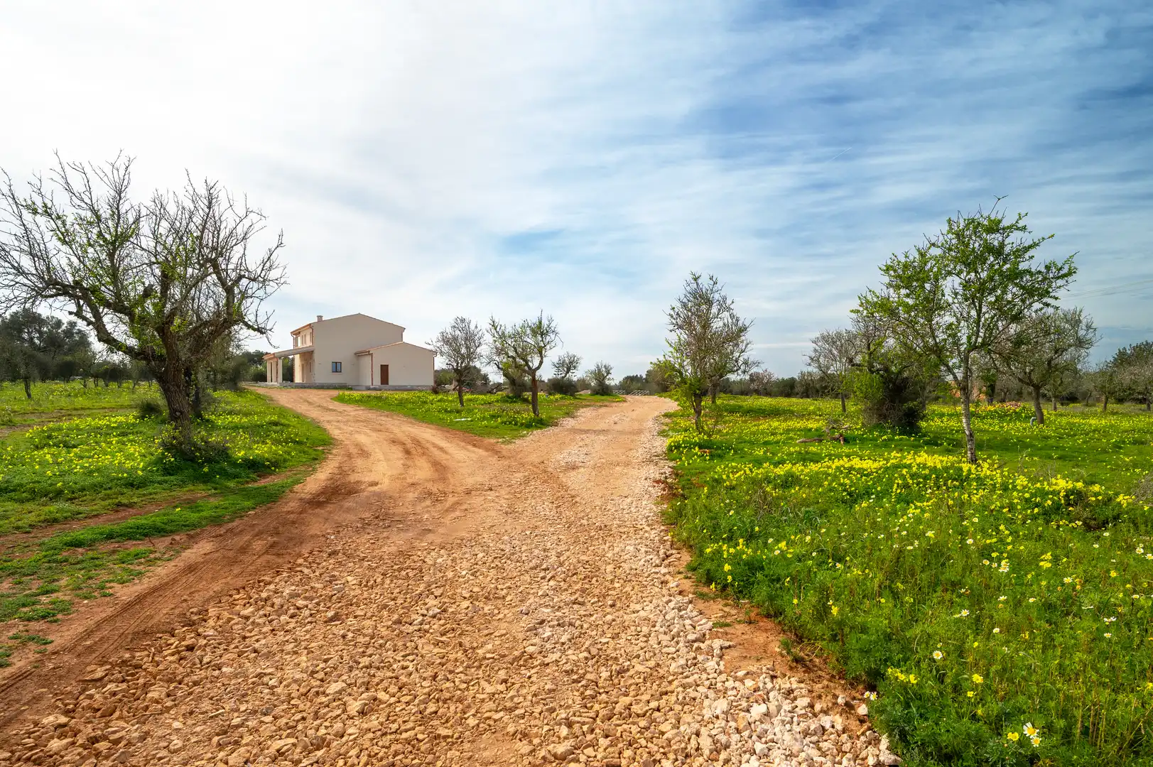Casa rústica con terraza en venta en Ses Salines Poble, imagen 30