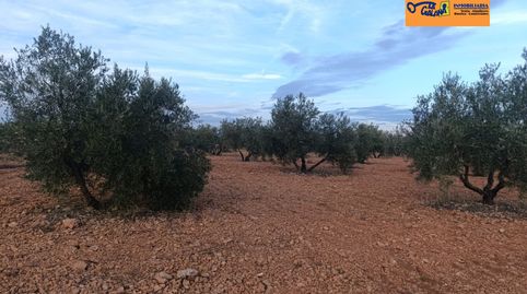 Foto 3 de Finca rústica en venta en Valdepeñas, Ciudad Real