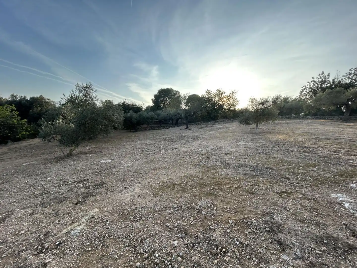 Finca rústica en venda en Masdenverge