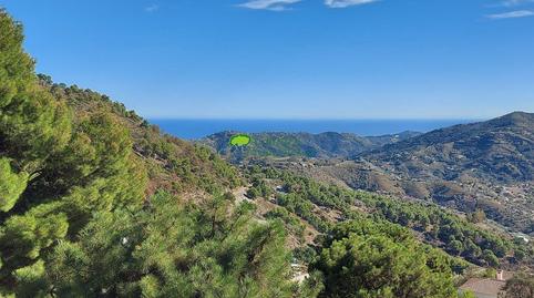 Foto 3 de Finca rústica en venta en Cómpeta, Málaga