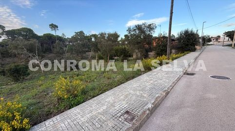 Urbanización King Park es una zona residencial de carácter tranquilo y de ambiente familiar  SILS, immagine 2