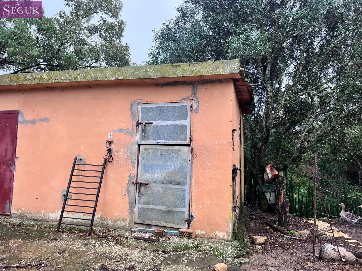 Vista exterior de Finca rústica en venda en Vejer de la Frontera amb Jardí privat