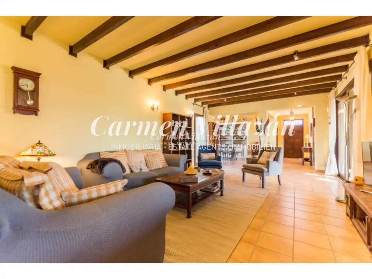 Villa avec jardin à vendre à Calle central, imagen 7