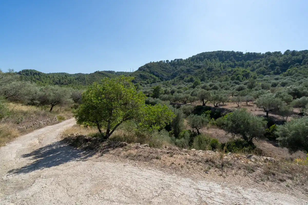 Finca rústica en venda en Tortosa amb Terrassa