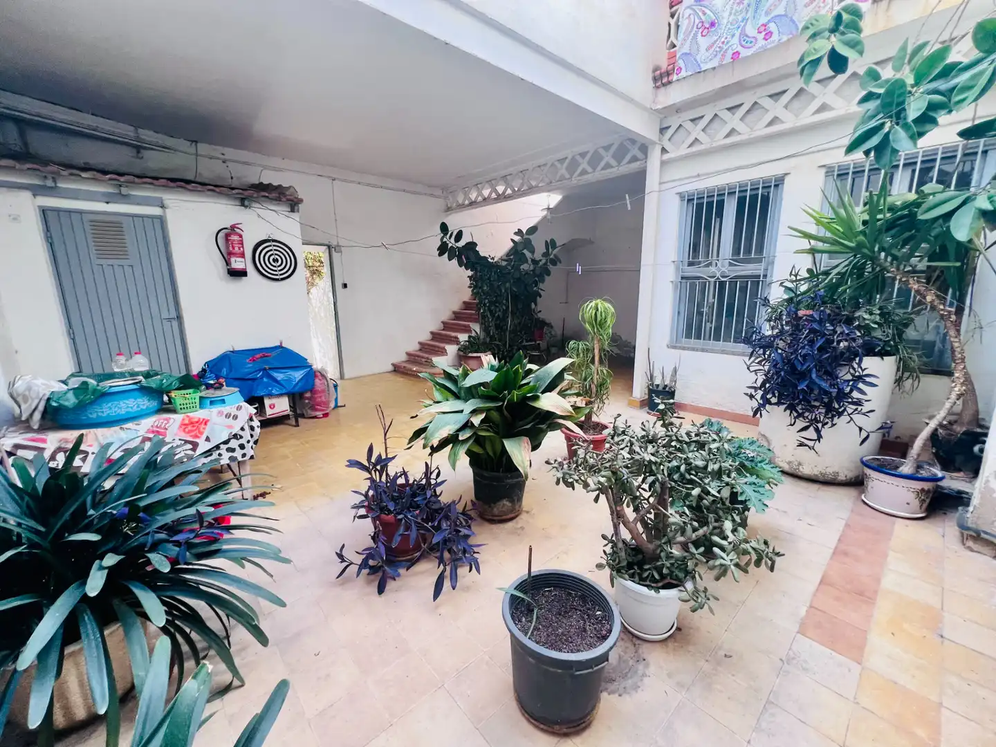 Jardín de Casa o chalet en venta en Petrer, Alicante