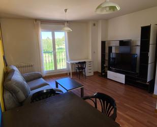 Sala d'estar de Apartament de lloguer en Salamanca Capital amb Calefacció, Terrassa i Moblat