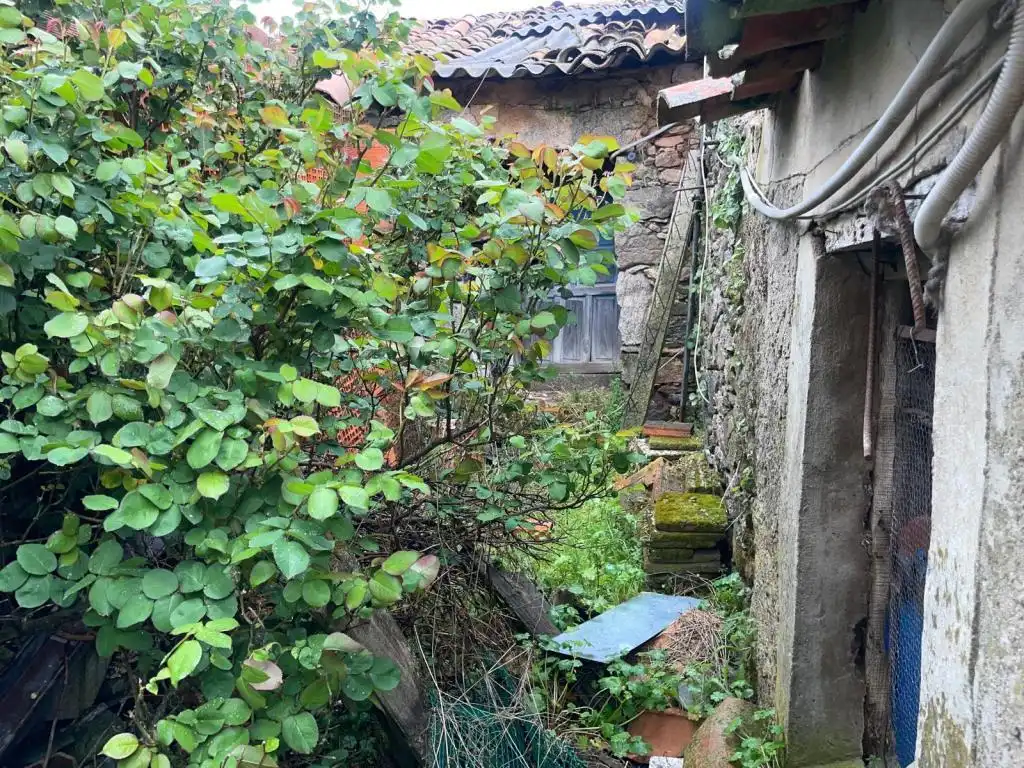 Finca rústica en venta en Villaseco del Pan