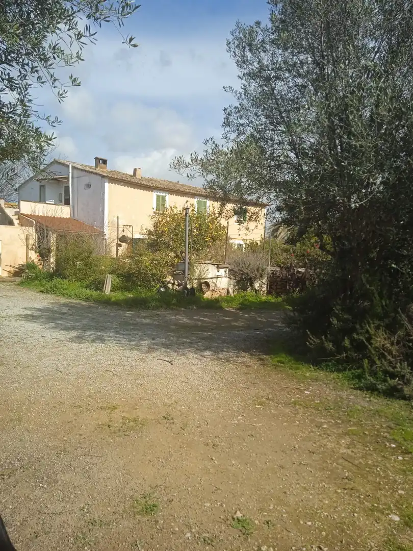 Casa o xalet en venda a Ma-1040, El Secar de la Real