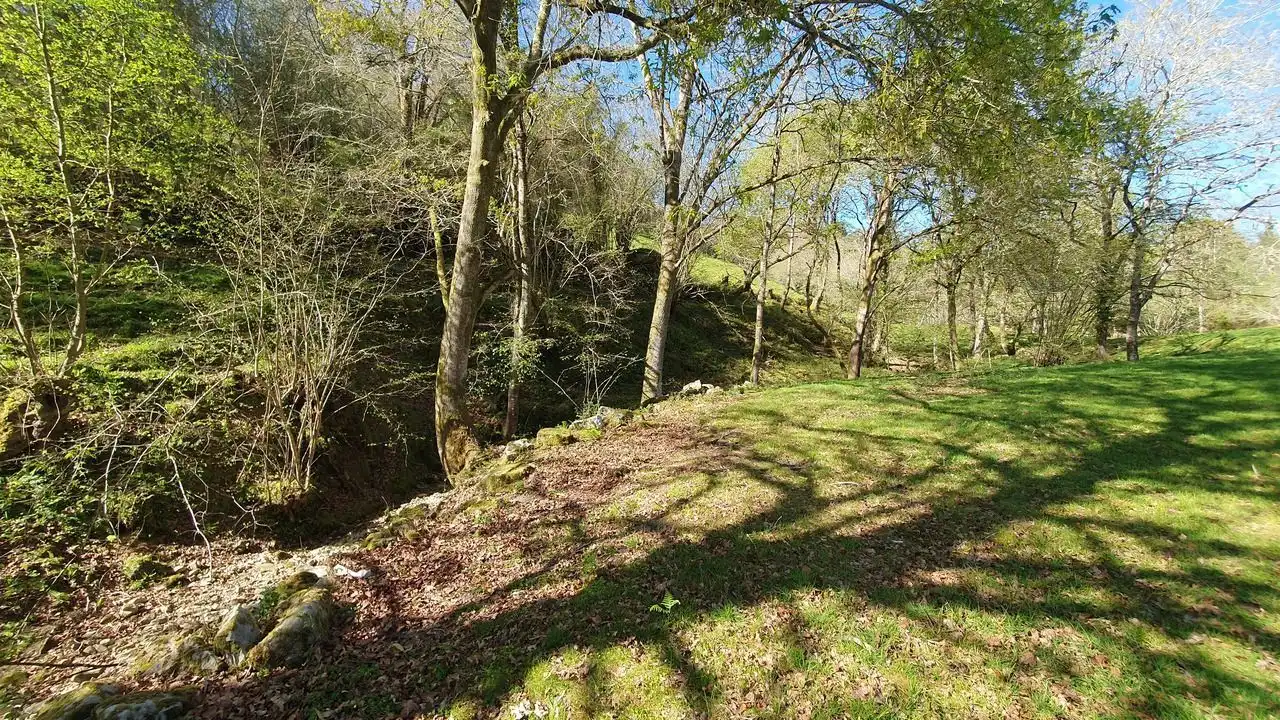 Finca rústica en venta en Llanes
