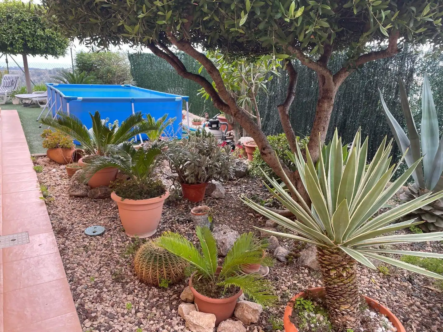 Jardín de Casa o chalet en venta en Polop con Jardín privado y Piscina comunitaria