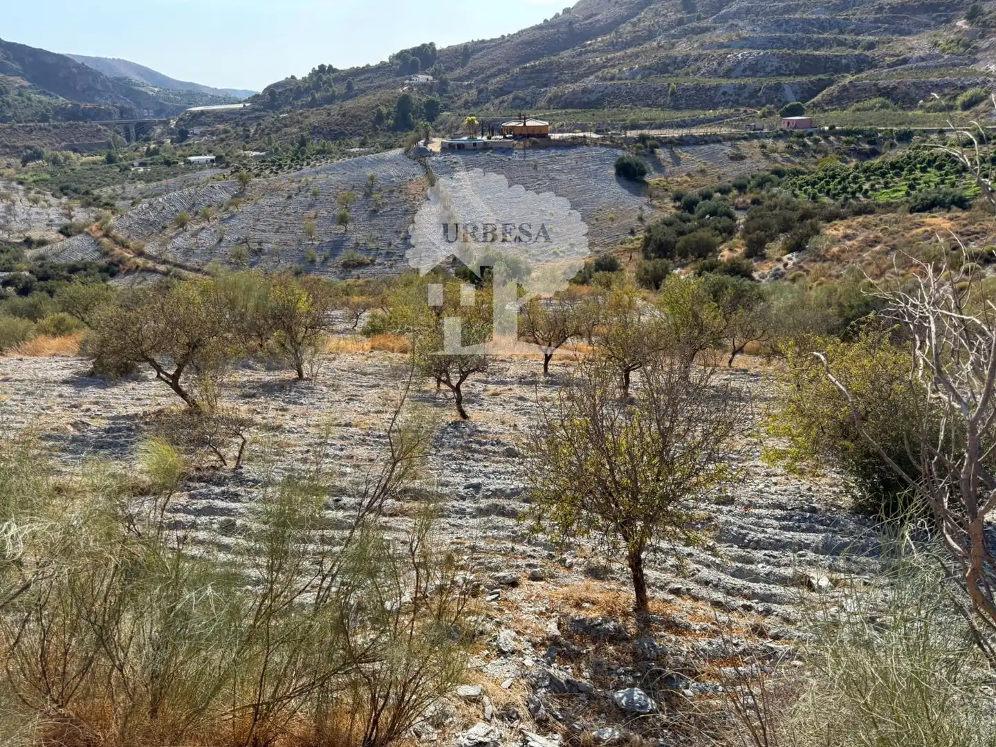 Grundstücke zum Verkauf in Vélez de Benaudalla