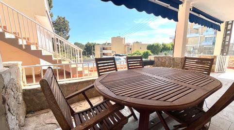 Foto 2 de Apartament de lloguer a Palmanova, Calvià