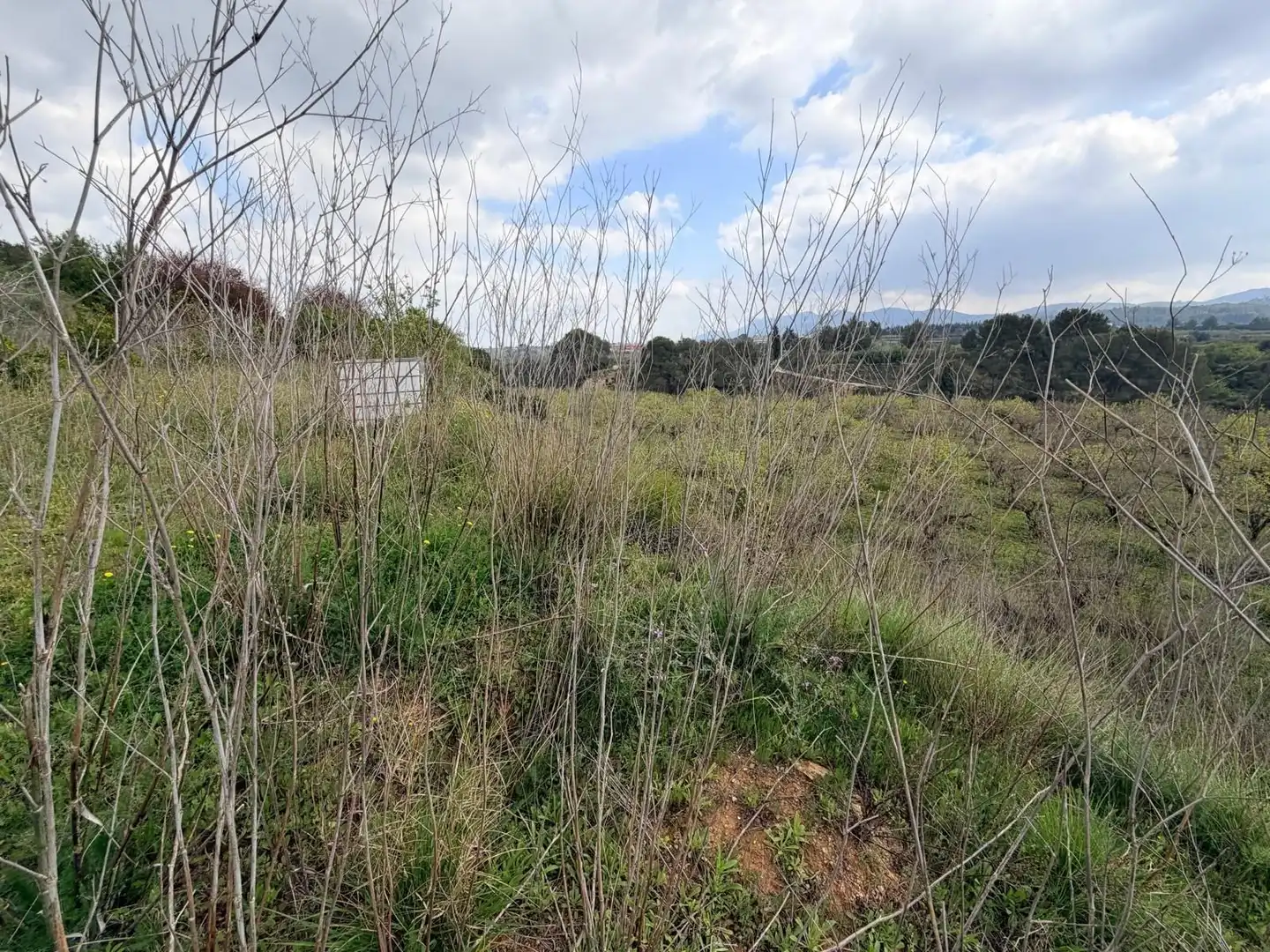 Rural land for sale in Benissoda, imagen 5