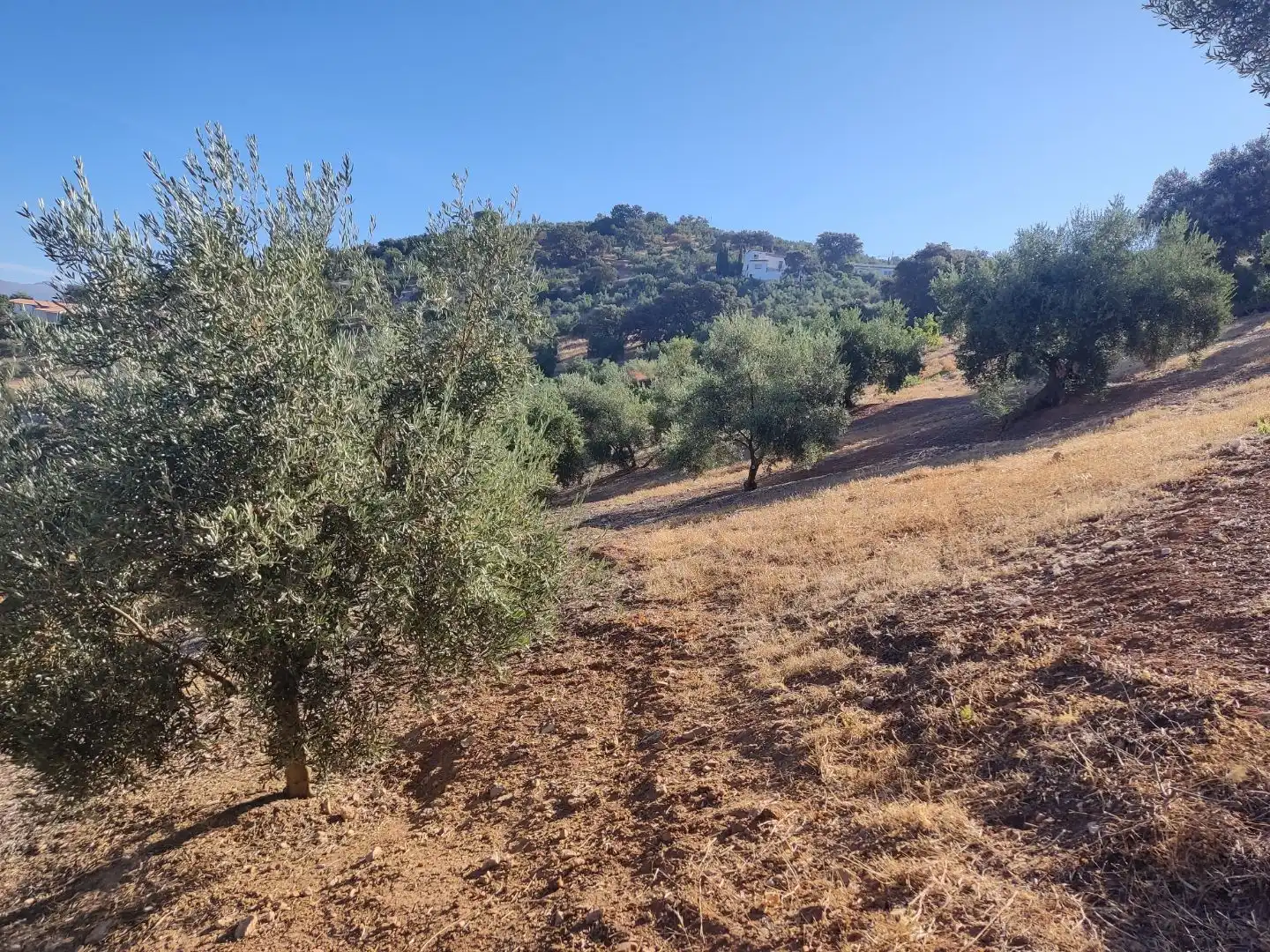 Grundstücke zum Verkauf in Iznájar