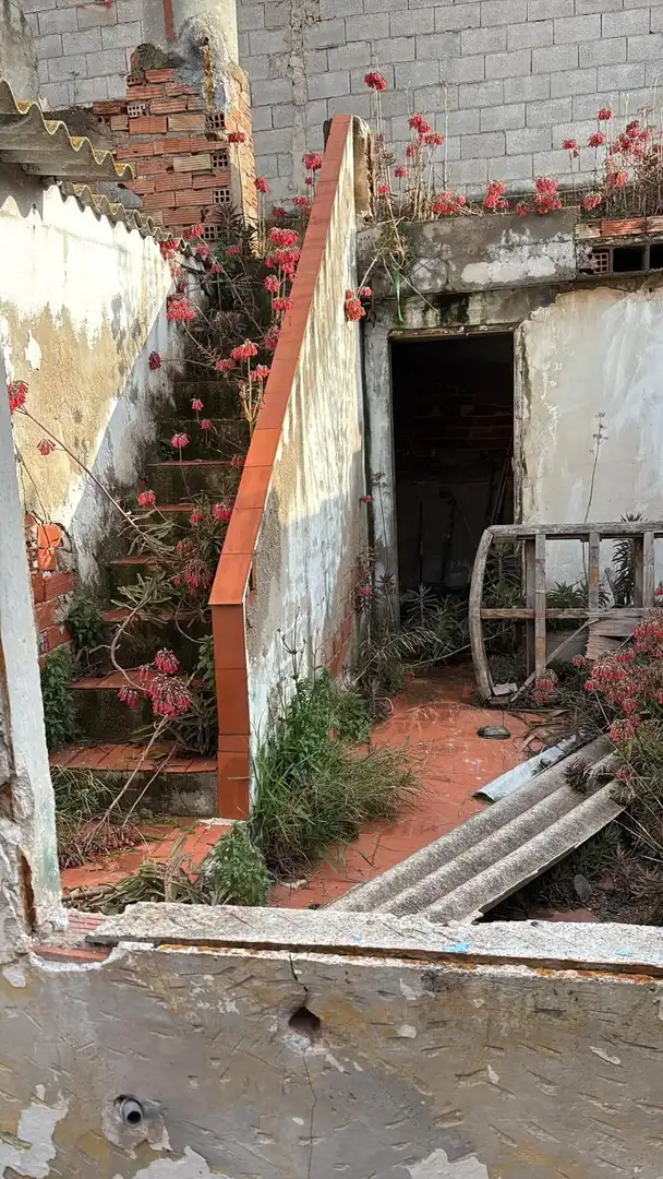 Vista exterior de Finca rústica en venta en Molina de Segura