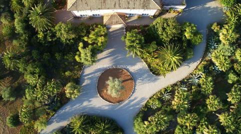 Foto 5 de Finca rústica en venta en Can Picafort, Santa Margalida