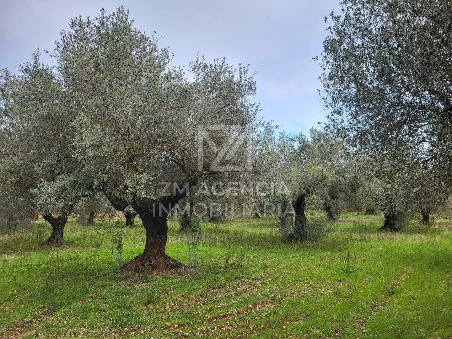 Terreno rustico in vendita a Cabanes, imagen 21