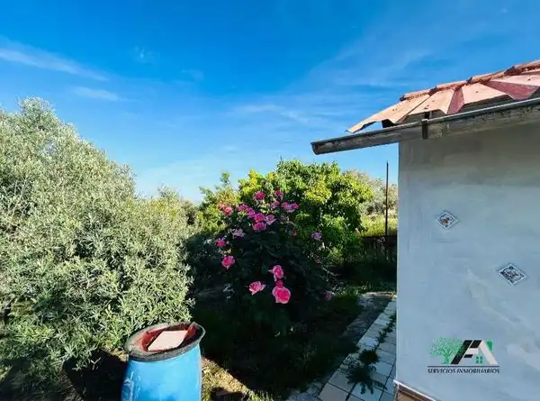 Terreni e lotti in vendita a Baeza, imagen 12