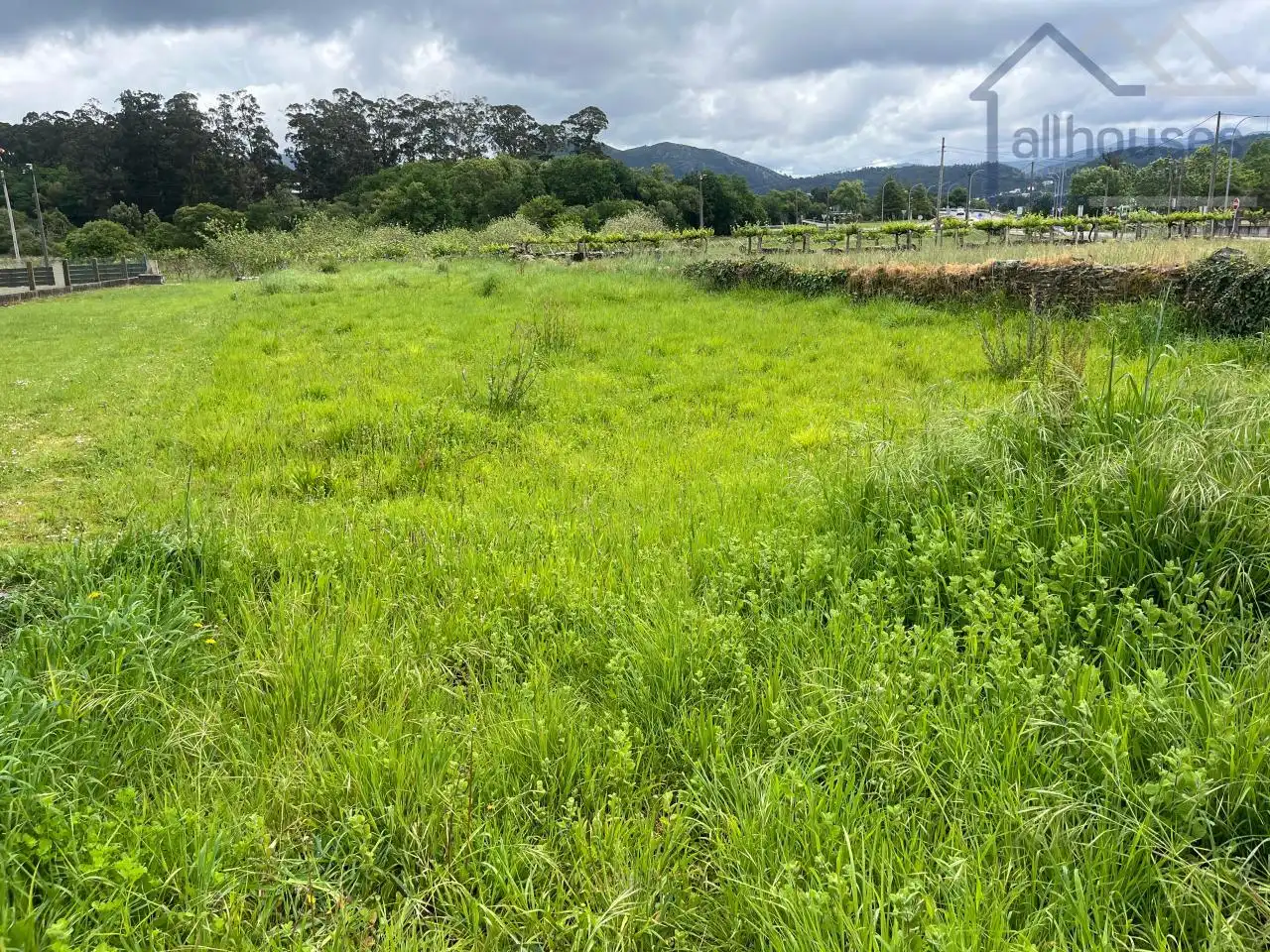 Terreno residenziale in vendita a O Rosal, imagen 12