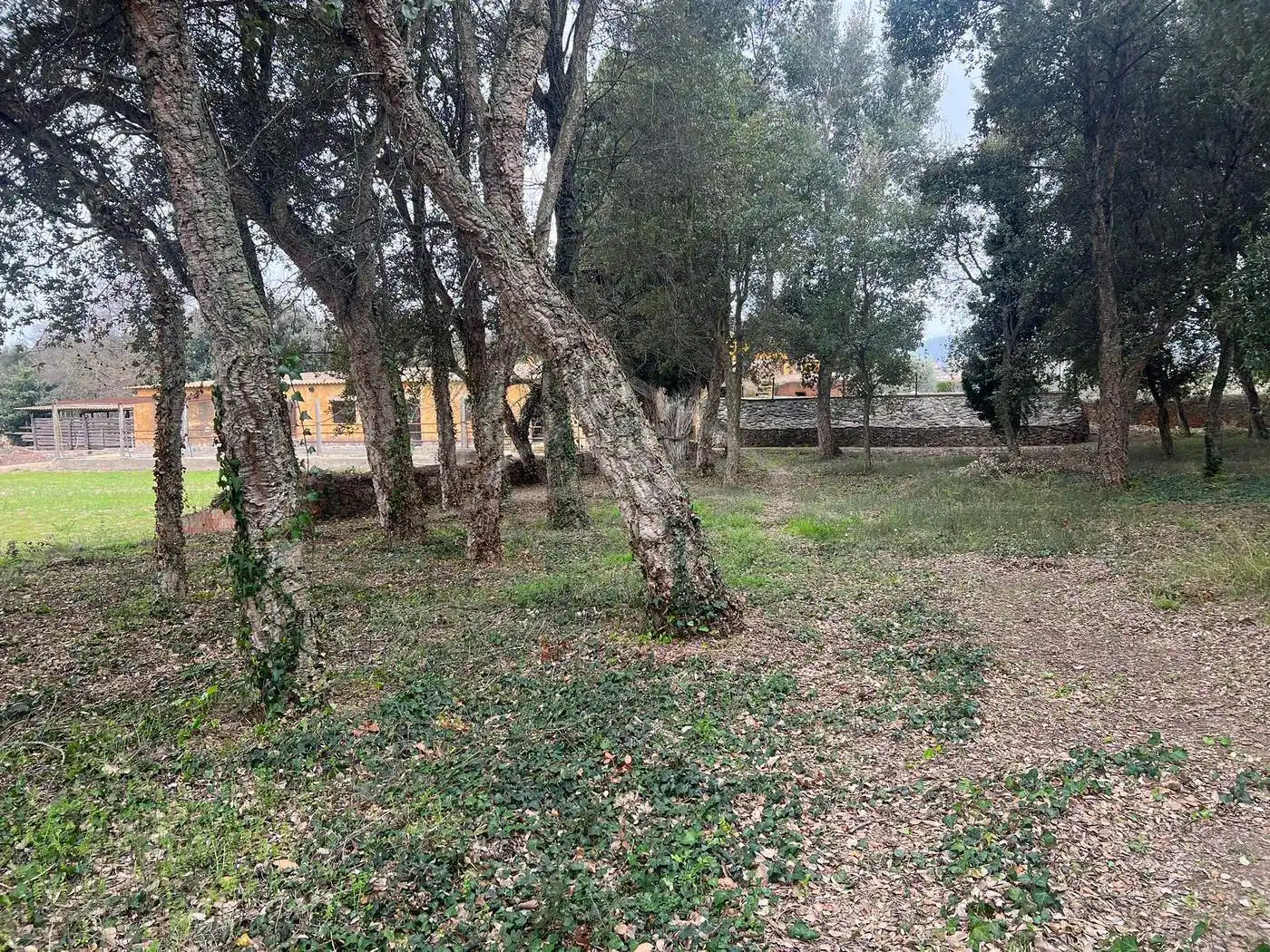 Finca rústica en venda en Palafrugell amb Aire condicionat, Calefacció i Jardí privat