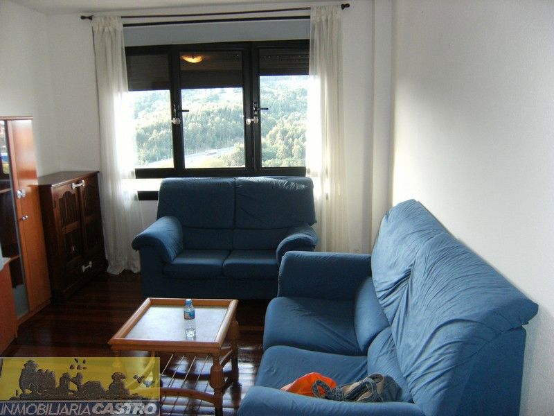 Sala de estar de Piso de alquiler en Castro-Urdiales con Amueblado