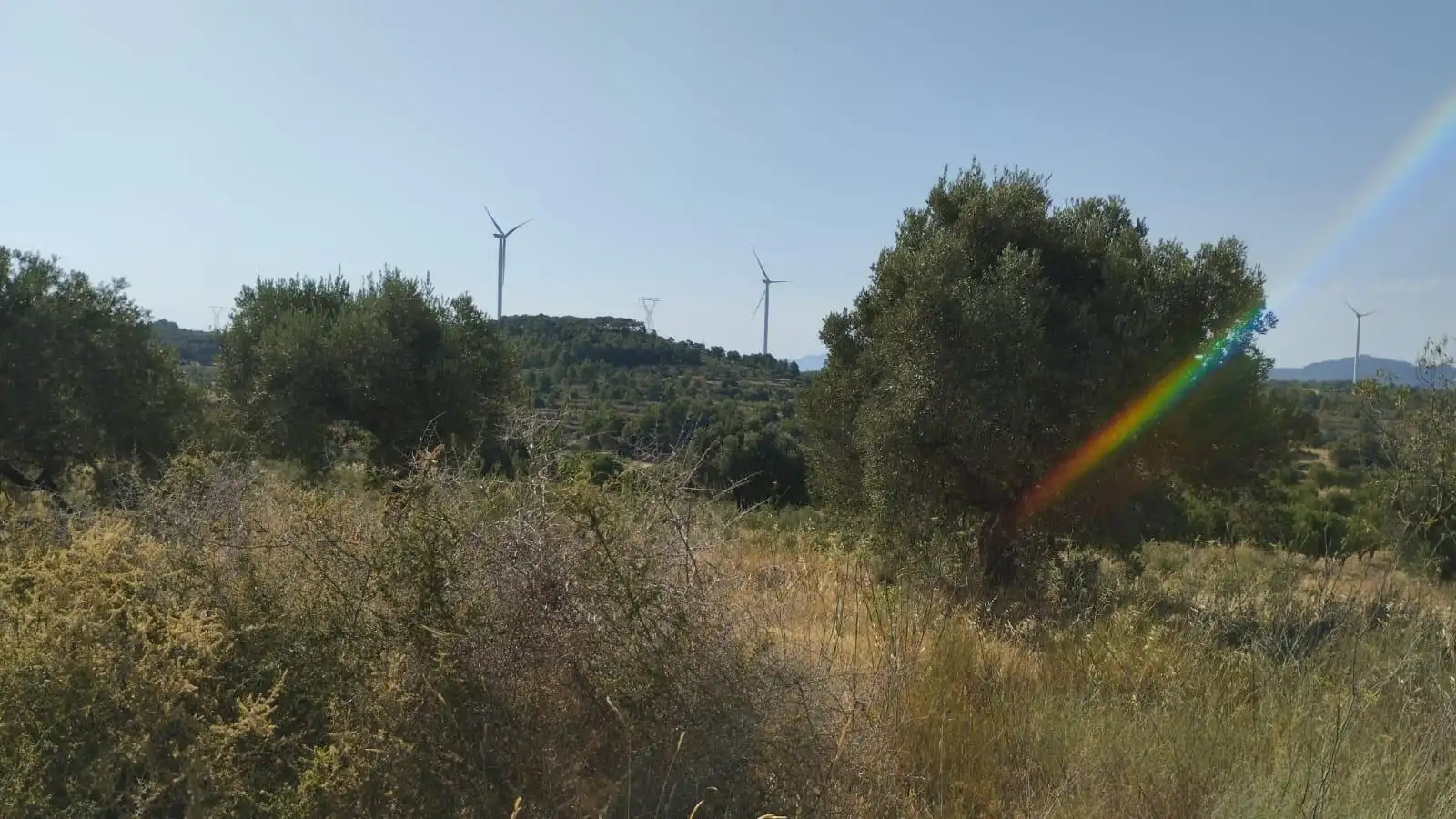 Terreno rústico en venta en Vilalba dels Arcs, imagen 9