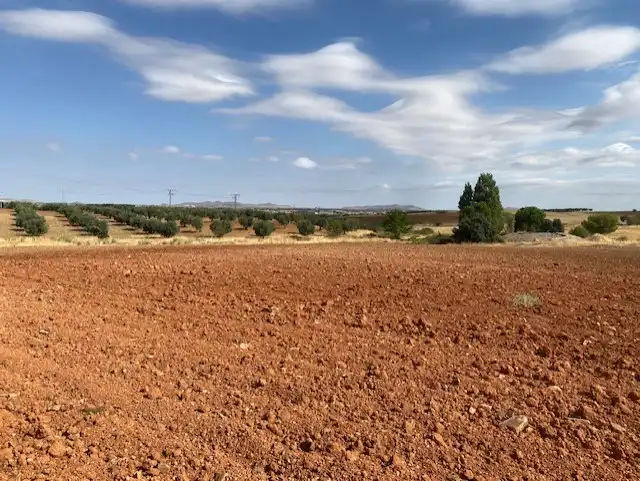 Terreny rústic en venda a Sonseca