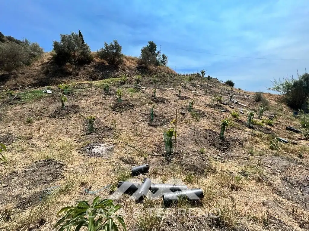 Residential for sale in Torrox