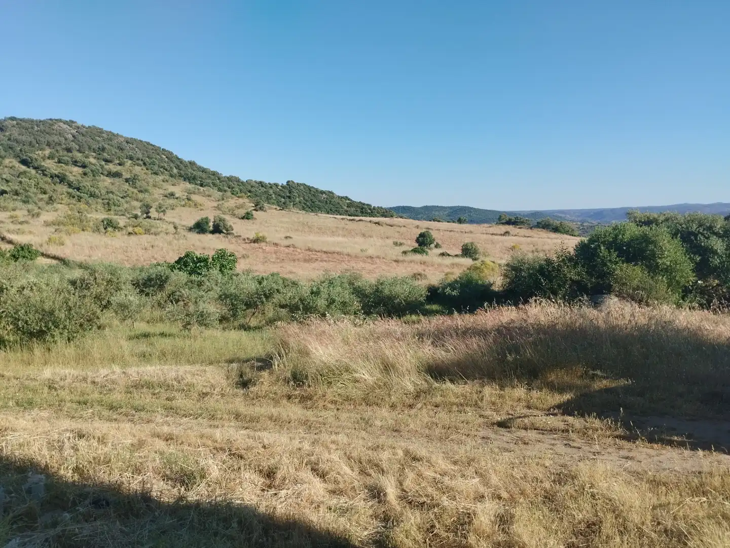 Terreno rustico in vendita a Burguillos del Cerro, imagen 5