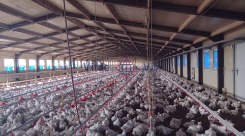 Photo 3 of Houses for sale in Travesia Mayor 04 (paca la), La Tova, Lorca