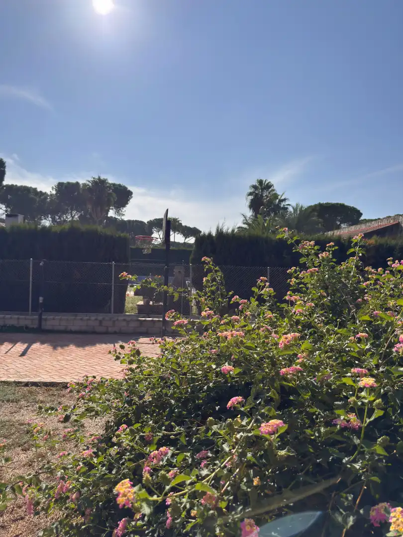 Jardín de Casa o chalet en venta en Carmona con Aire acondicionado, Calefacción y Jardín privado