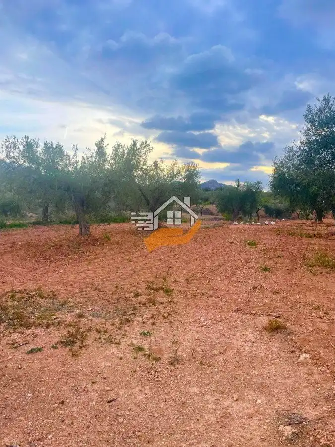 Residential land for sale in Vélez-Rubio, imagen 11