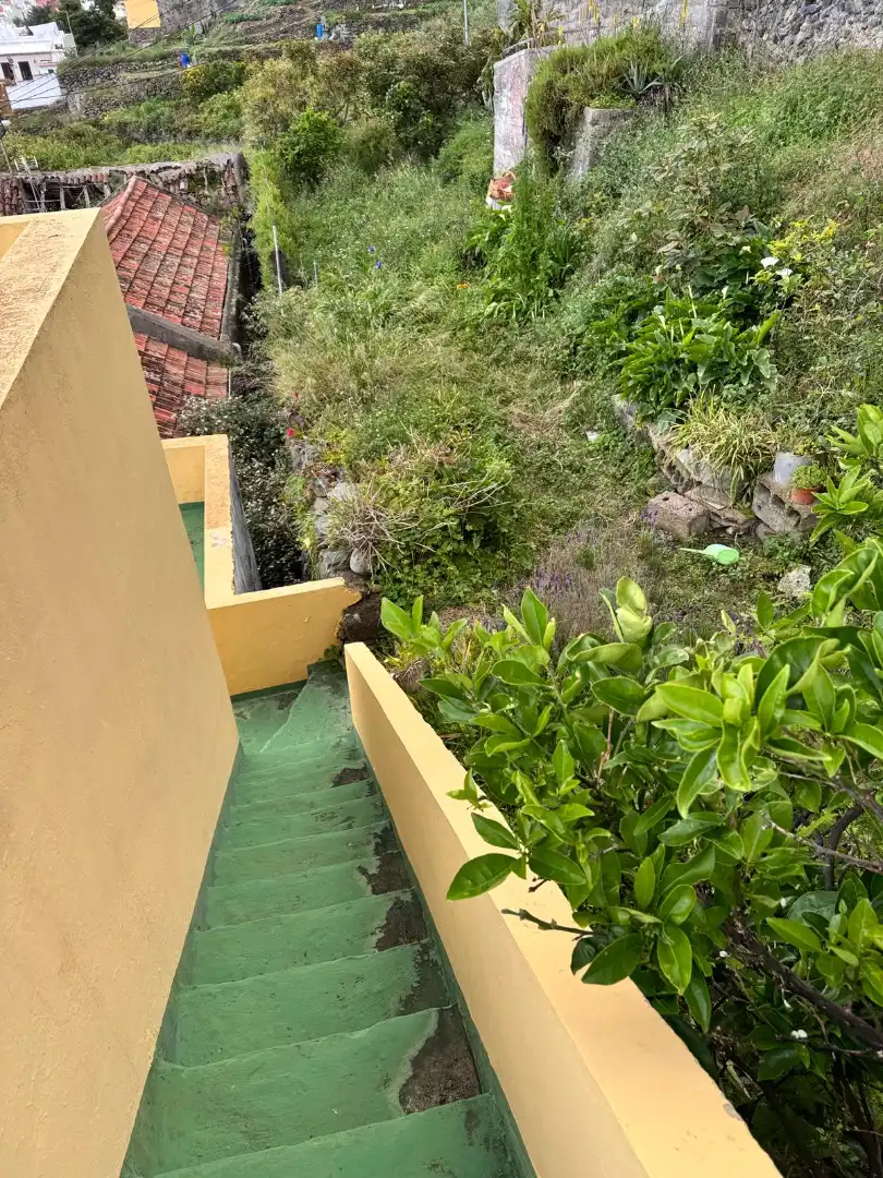 Terraza de Finca rústica en venta en Los Realejos con Jardín privado y Terraza