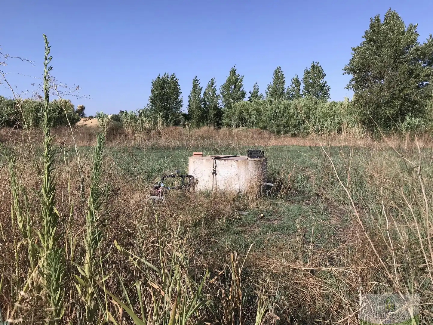 Finca rústica en venta en Rociana del Condado
