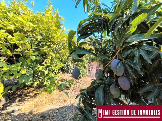 Finca rústica en Venta en Norte - Barrio del Pilar - El Reñidero